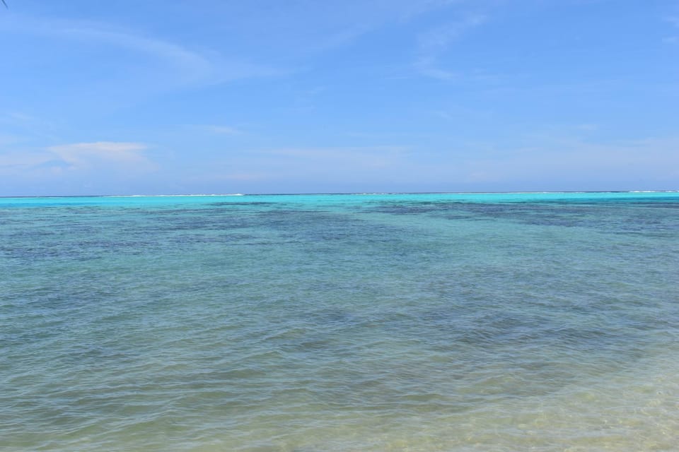 Fare Aute Beach Bed and Breakfast in Moorea-Maiao