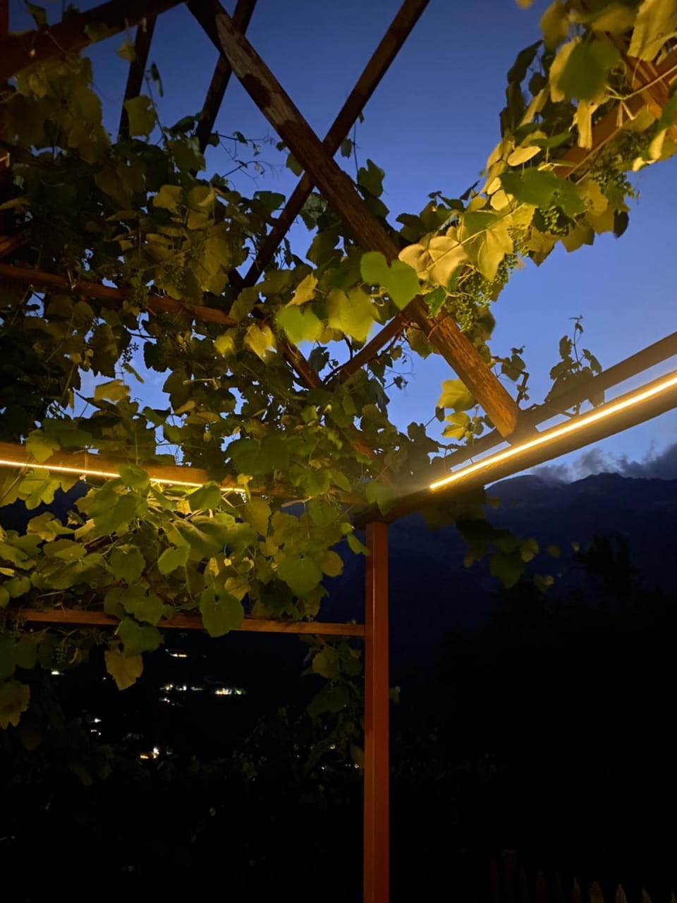 Marash Rrgalla Guesthouse Bed and Breakfast in Montenegro