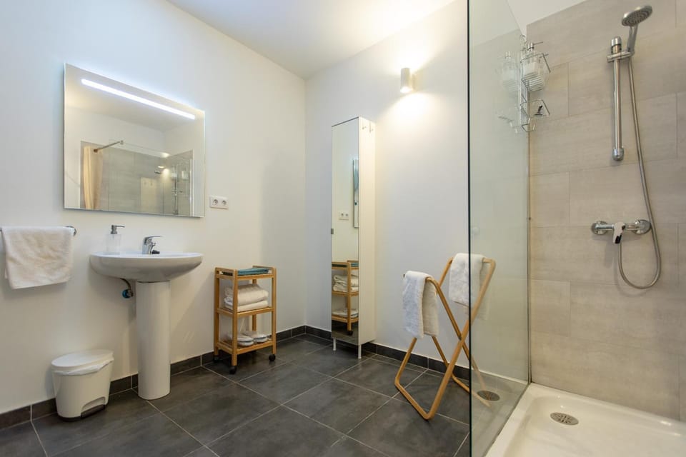 Shower, Toilet, Bathroom, towels
