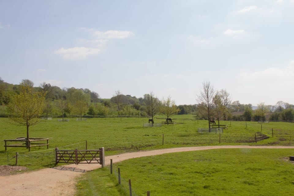 Natural landscape, Garden view