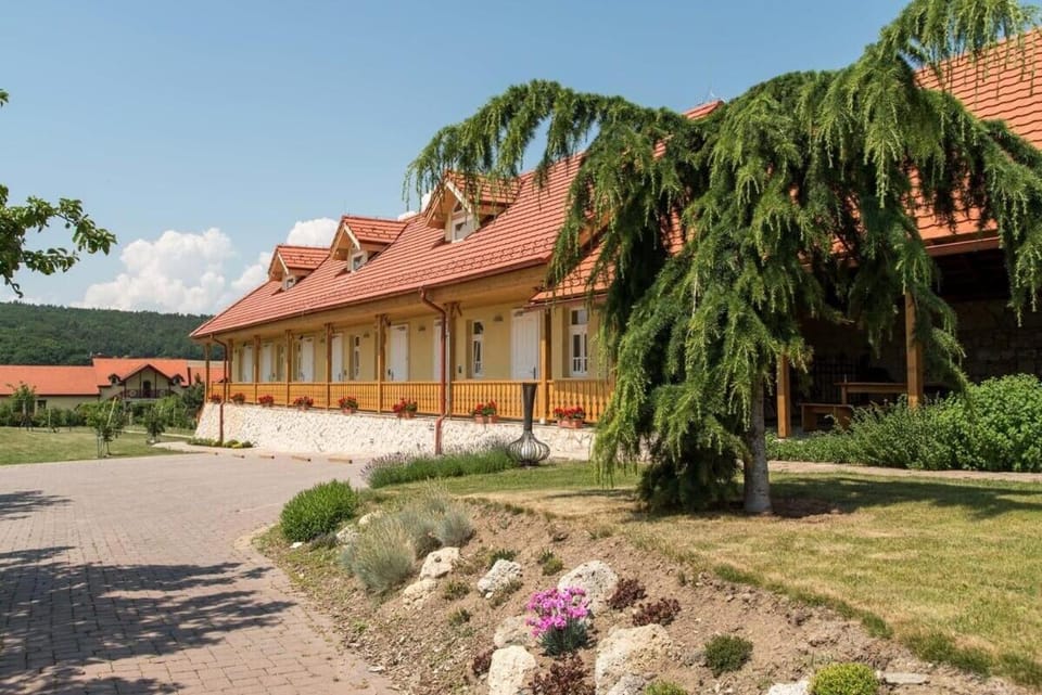 Penzión Tokaj Ostrožovič Bed and Breakfast in Slovakia