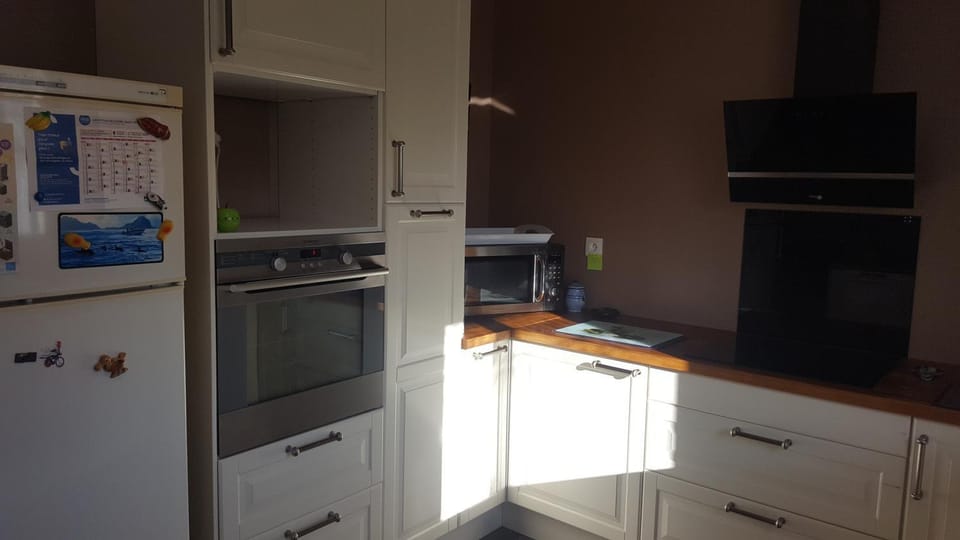 Kitchen or kitchenette, minibar, pet friendly, stove