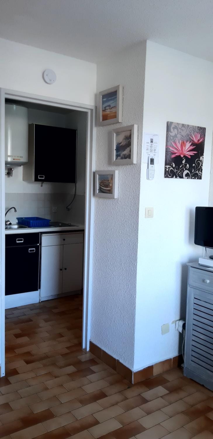 richelieu 4 CAP AGDE Apartment in Agde