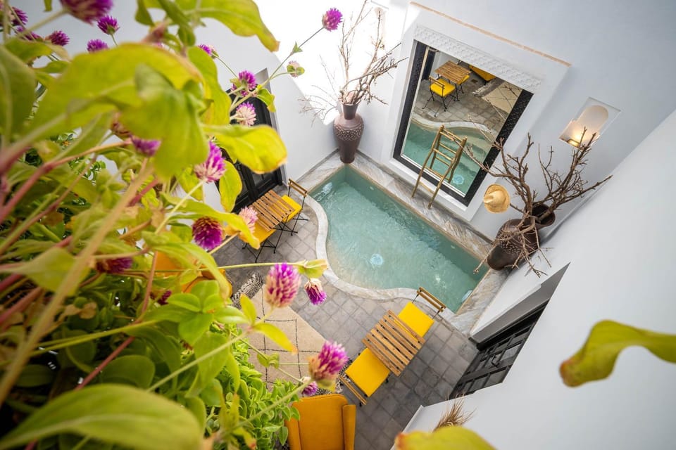 Patio, Day, Natural landscape, Garden, Garden view, Pool view, Swimming pool