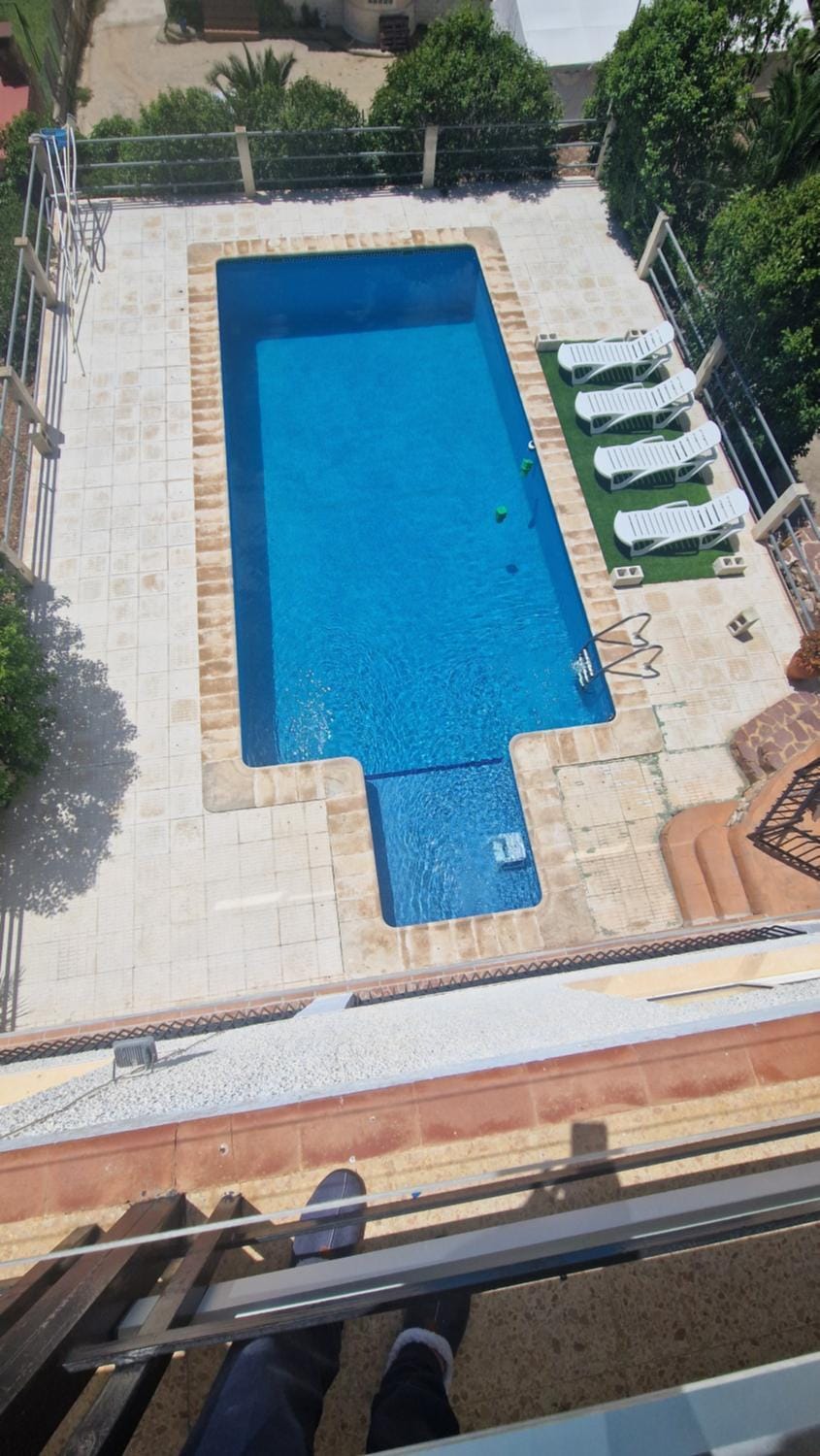Day, Pool view, Swimming pool, sunbed