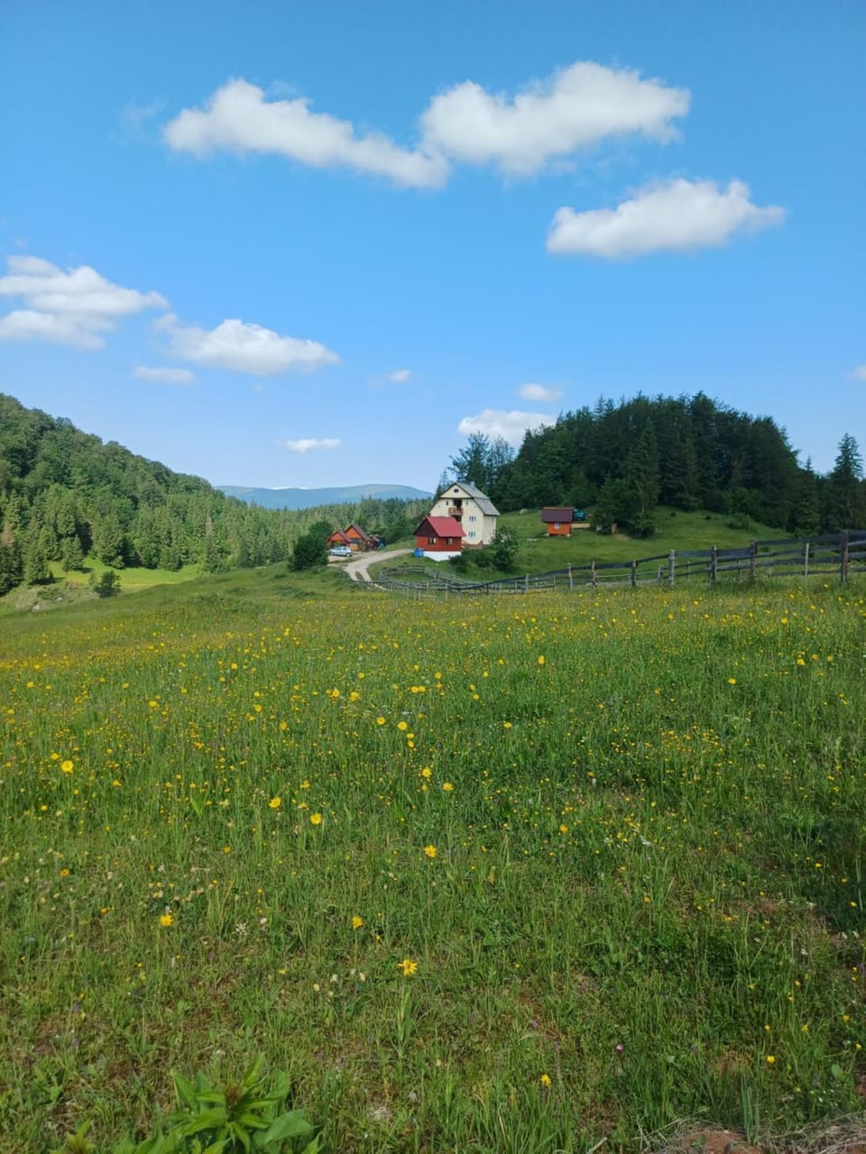 Pensiunea Poarta Lui Ionele Bed and Breakfast in Cluj County