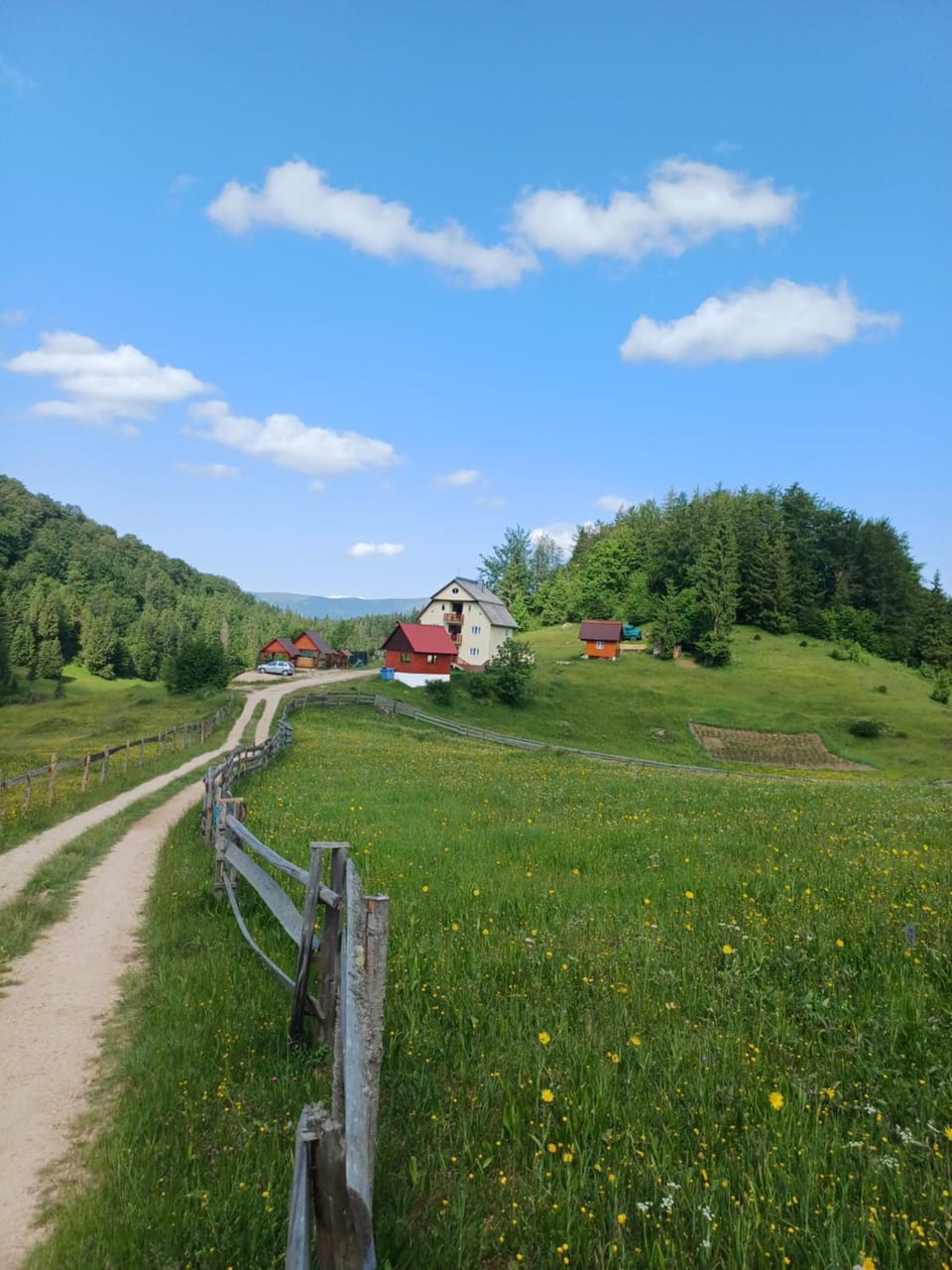 Pensiunea Poarta Lui Ionele Bed and Breakfast in Cluj County