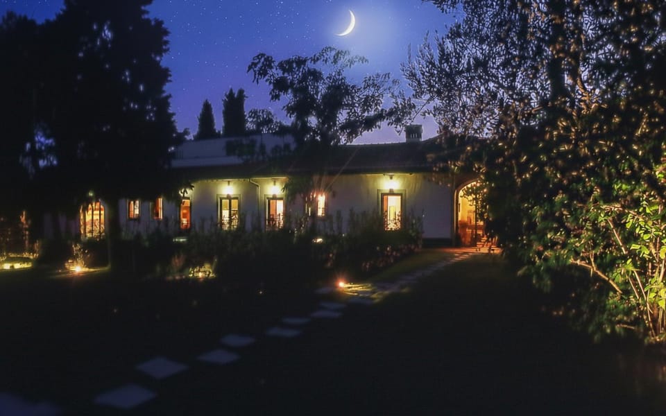 Property building, Night, Summer, Garden