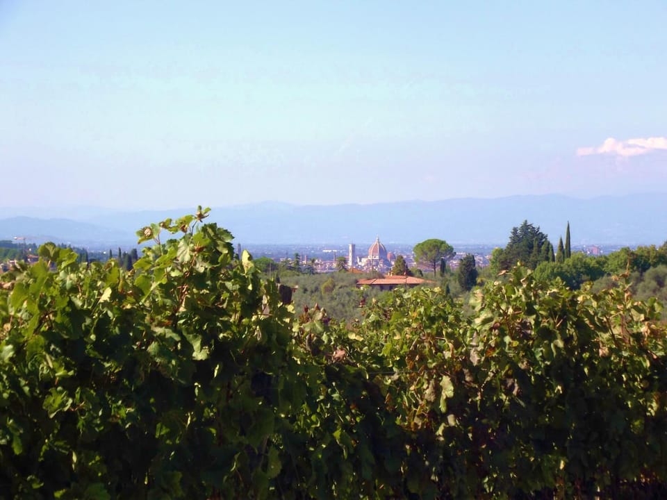Natural landscape, Summer, City view, Mountain view, Sunrise