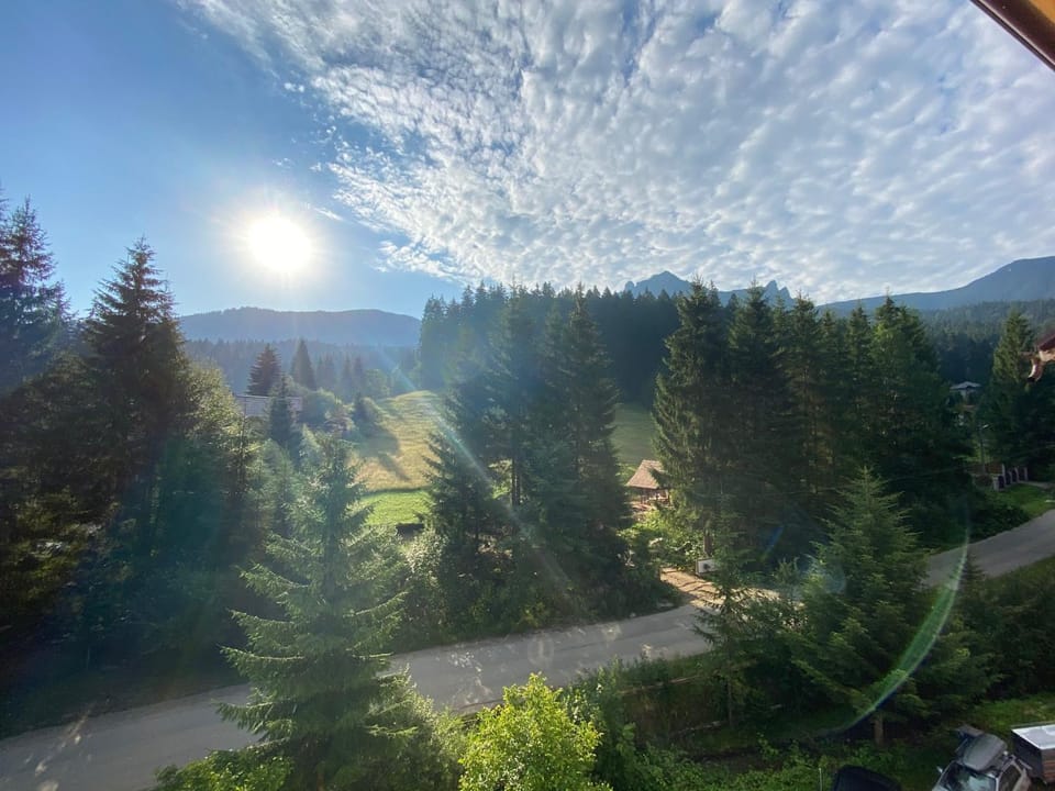Neighbourhood, Natural landscape, Hiking, Garden view, Mountain view