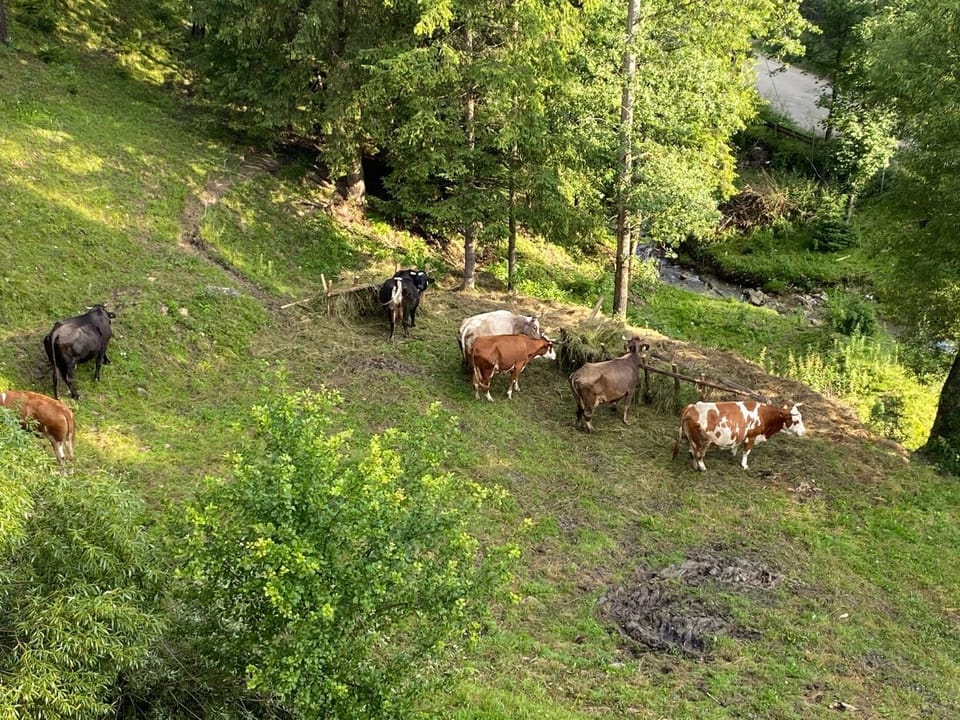 Natural landscape
