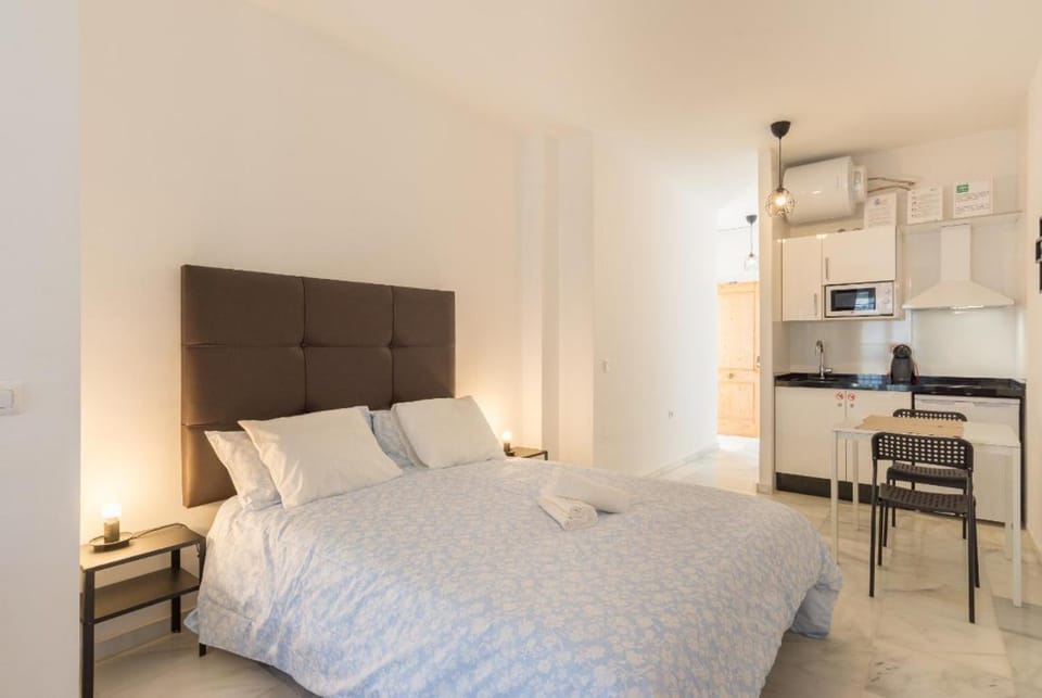 Studio Malaga Lifestyle Apartment in Malaga