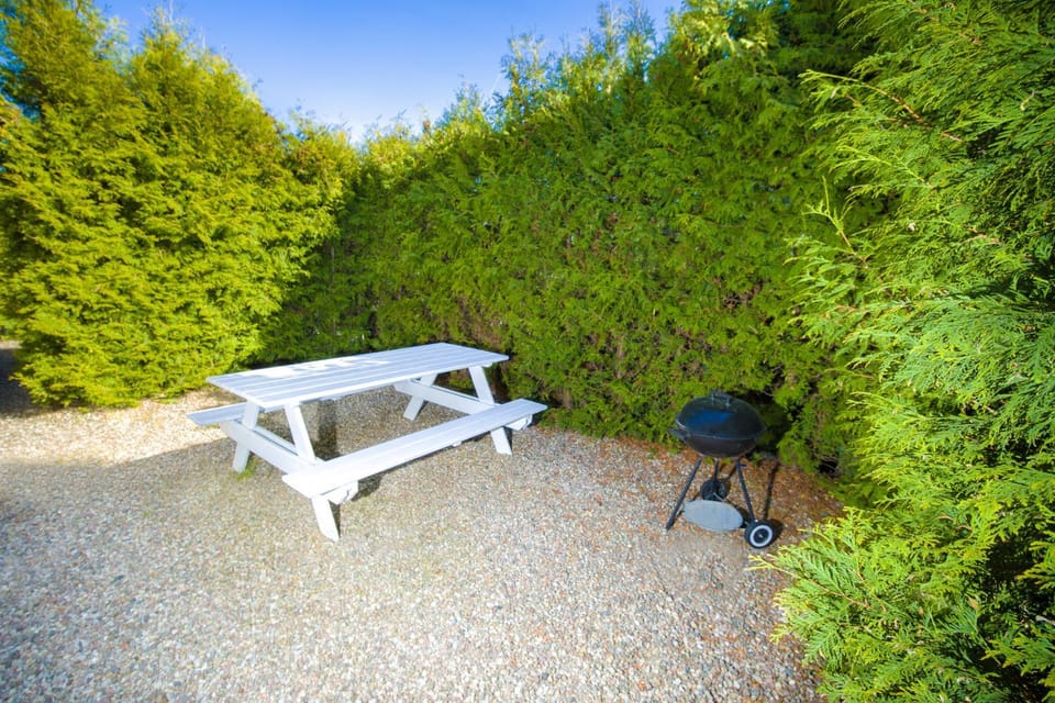 Spring, Garden, Garden view