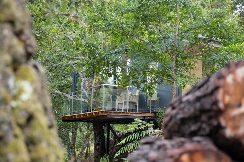 Natural landscape, Balcony/Terrace
