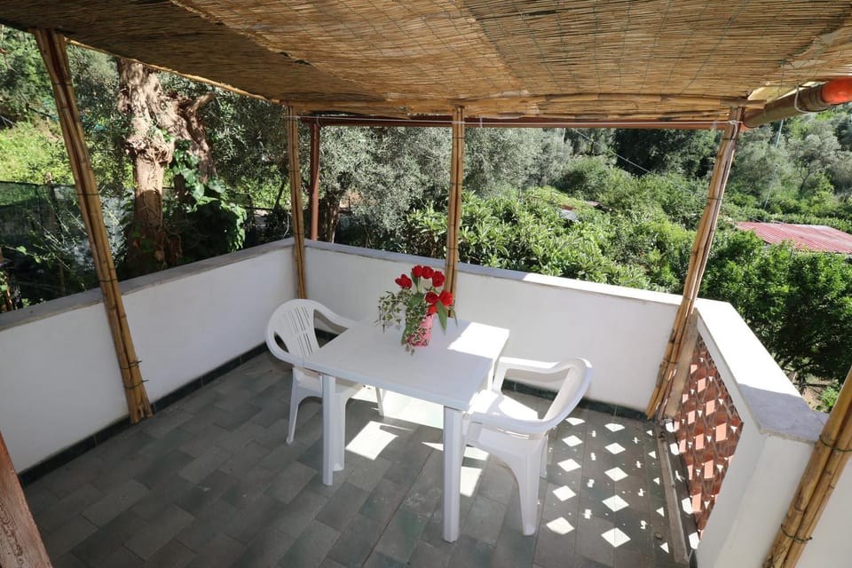 Patio, Spring, Day, View (from property/room), Balcony/Terrace, Dining area, Garden view