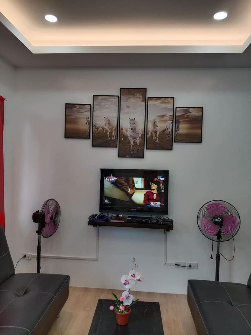 Karaoke, TV and multimedia, Living room