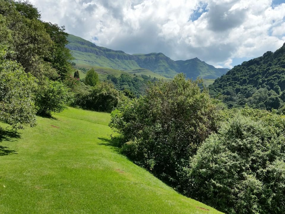 Natural landscape, Garden, Kitchen or kitchenette, Mountain view