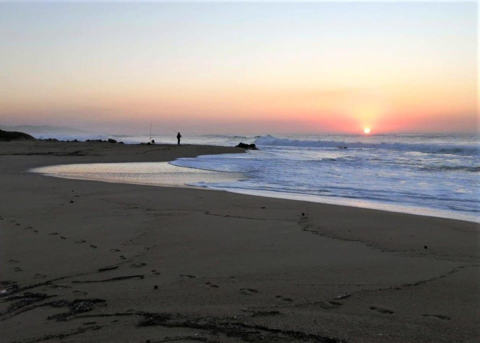 Natural landscape, Beach, Sunrise