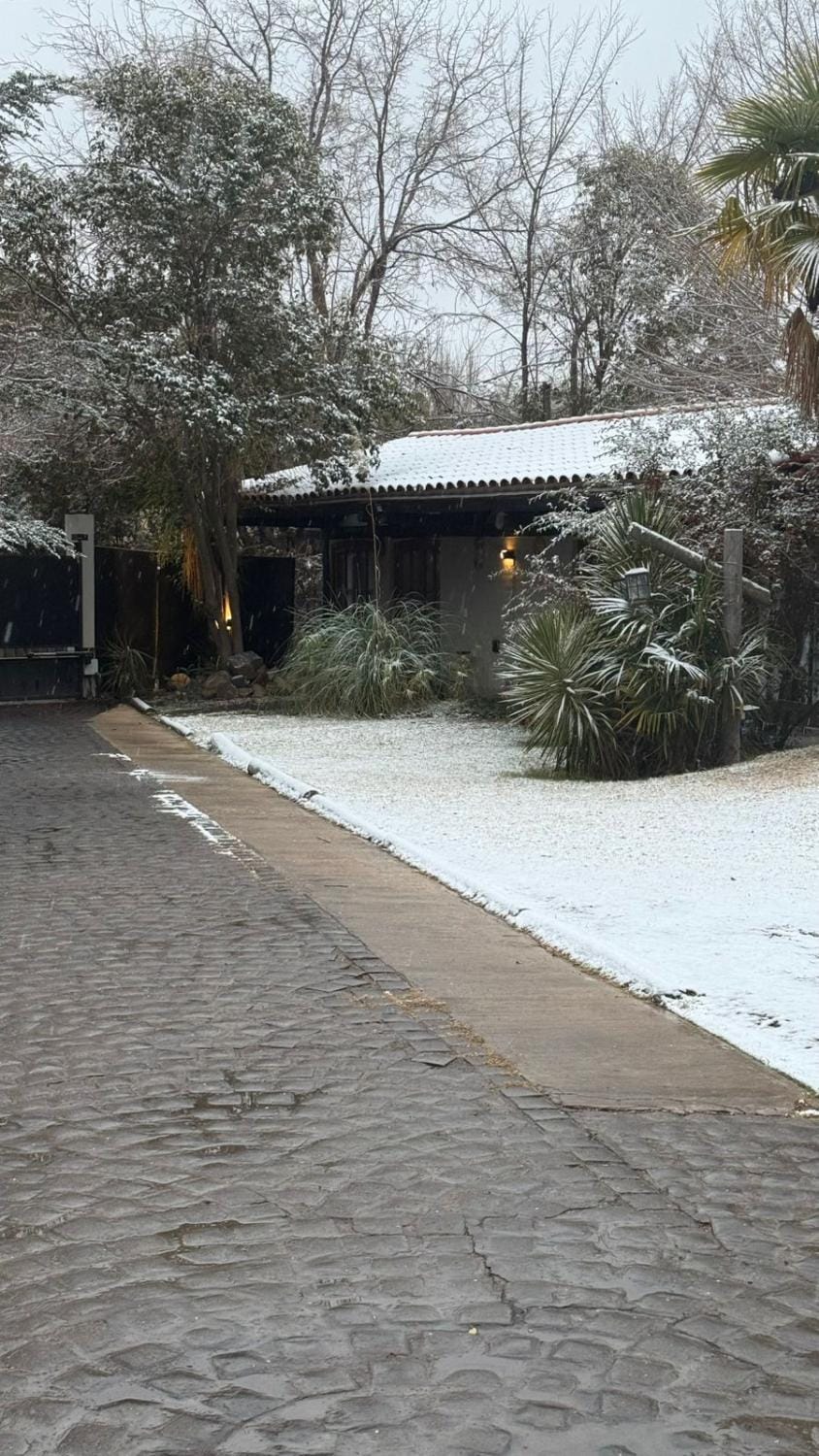 Day, Winter, Garden