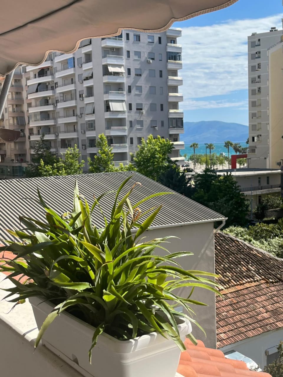 City view, Garden view