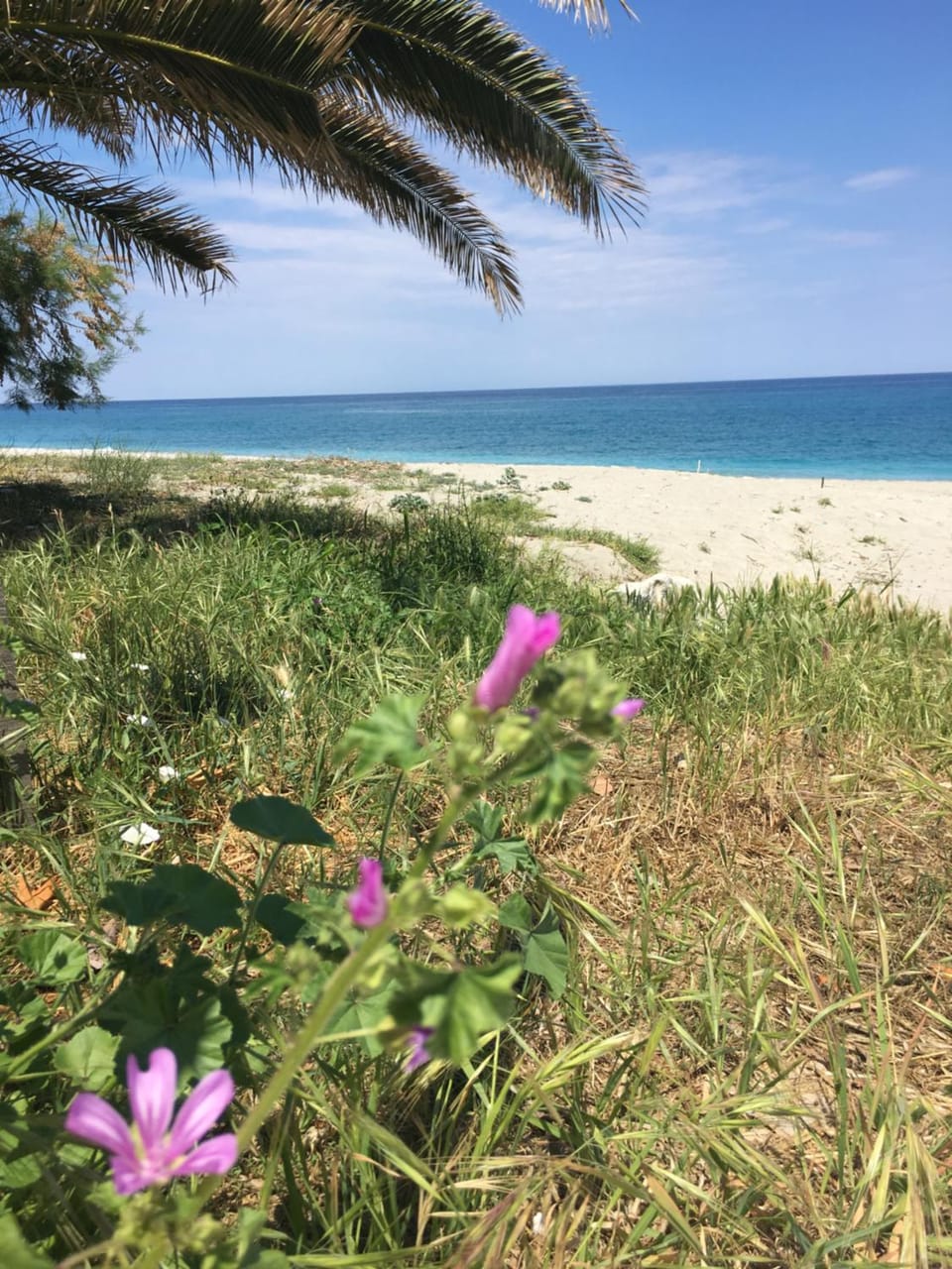Natural landscape, Beach, Sea view