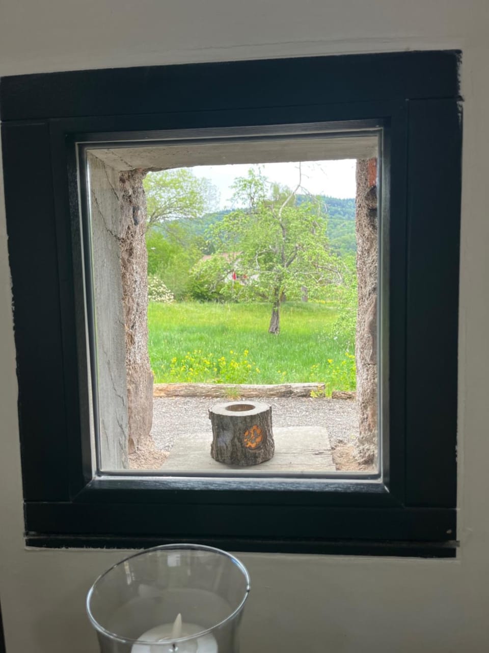 Garden view