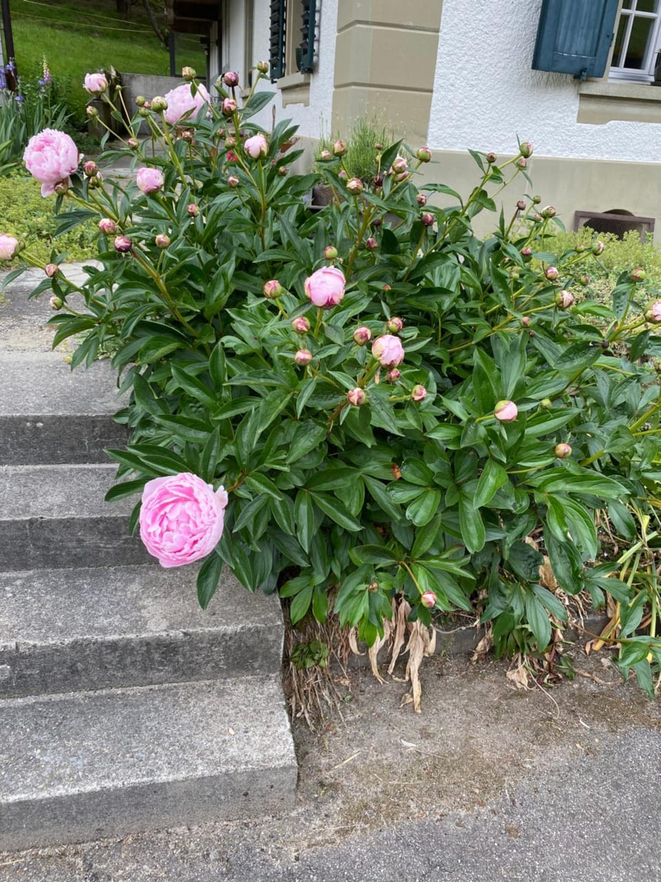 B&B tannen124 Bed and Breakfast in Canton of Bern (Region)