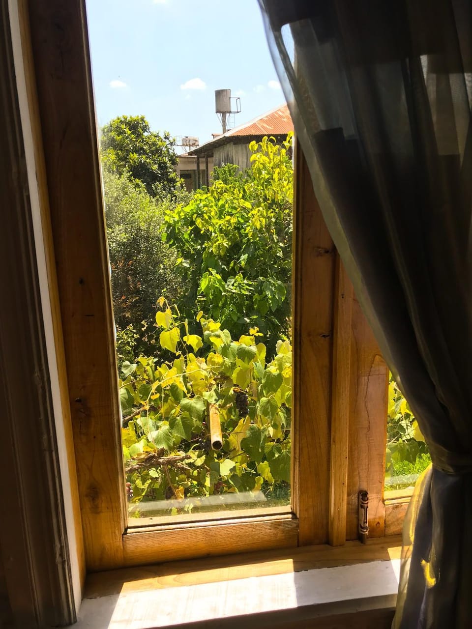 Garden view