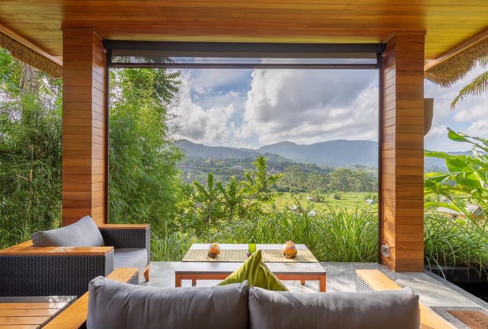 Living room, Mountain view