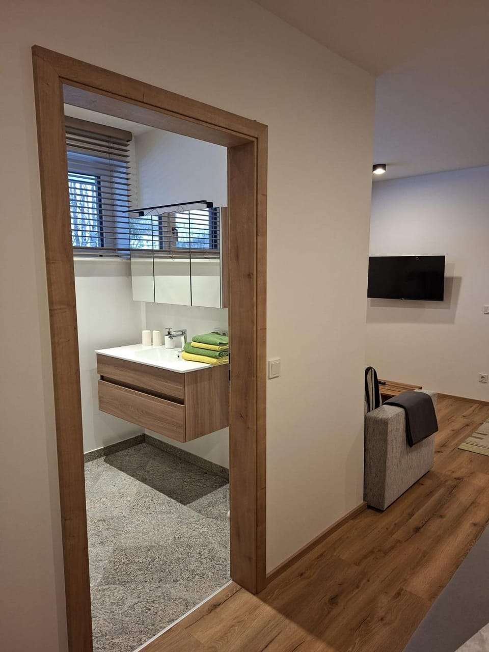 Bathroom, TV and multimedia