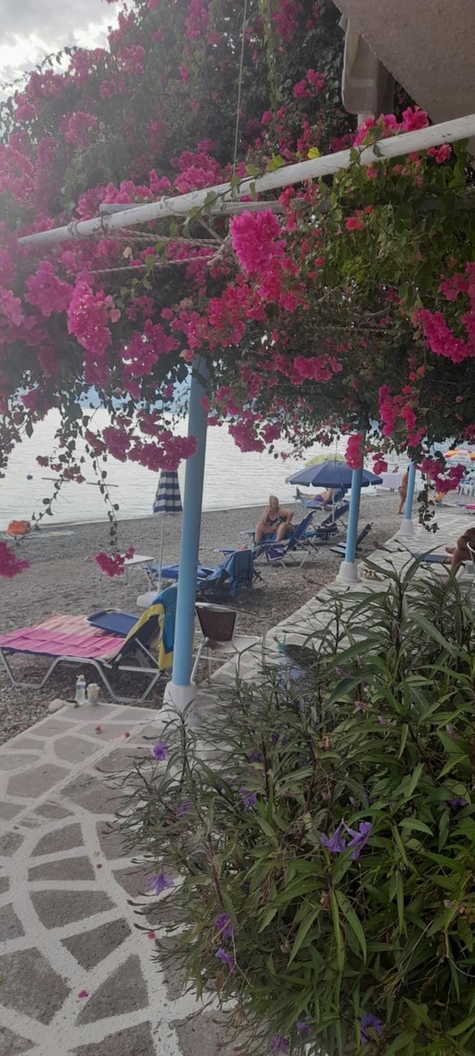 To Kyma-Afoi Roussou Apartment hotel in Euboea