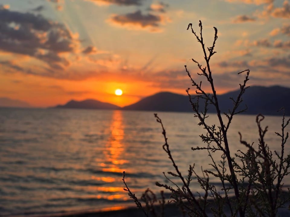 To Kyma-Afoi Roussou Apartment hotel in Euboea
