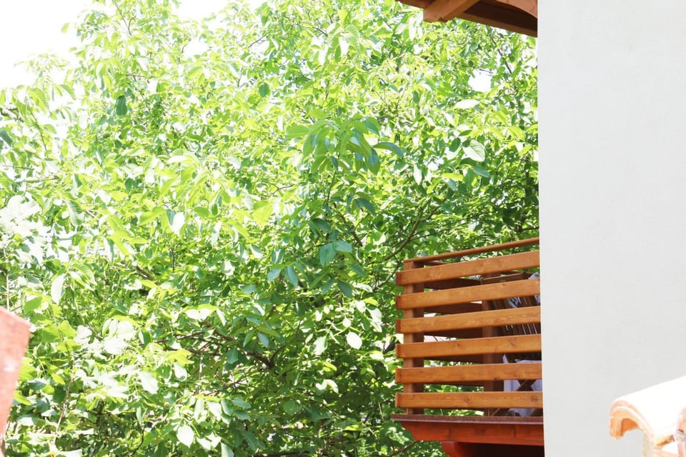 Casa Vacanze il Giardino - Appartamento Agrifoglio House in Sardinia
