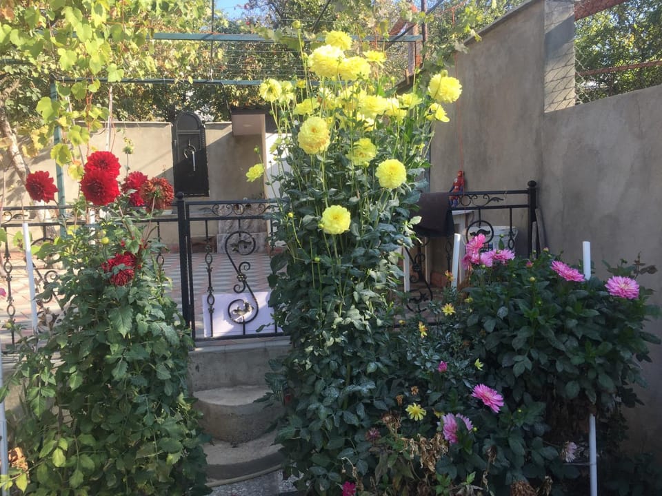 Apartament Sofia Apartment in Tbilisi, Georgia