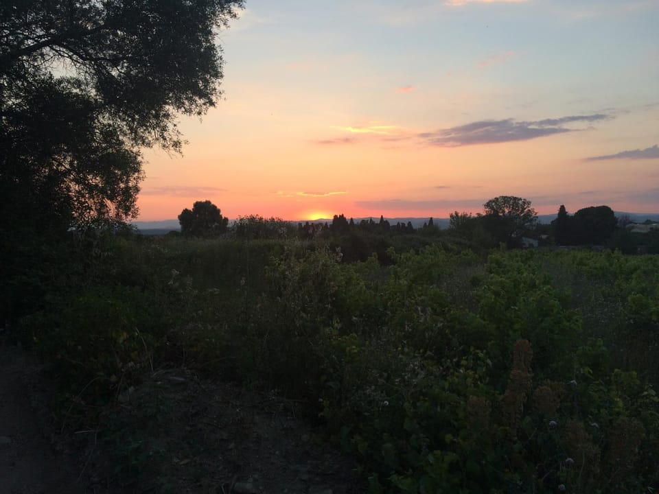 Chambre Voyage du Mas des Fontaines Bed and Breakfast in Occitanie