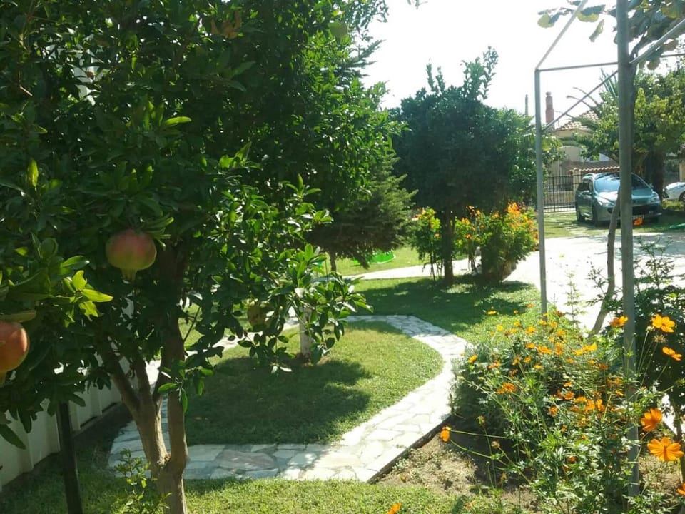 Garden view