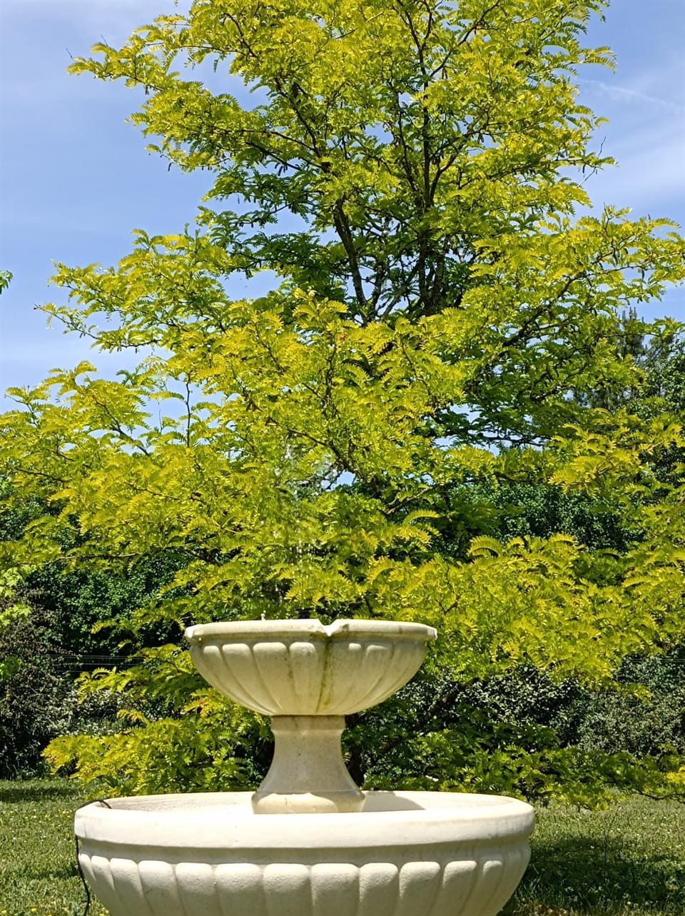 Garden, Garden view