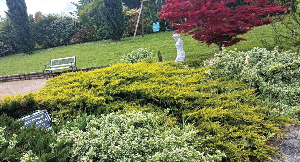 Garden, Garden, Garden view