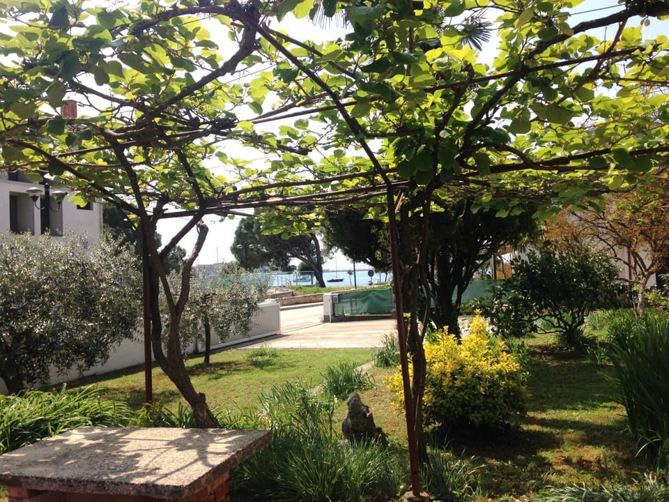 City view, Garden view, Sea view, Street view