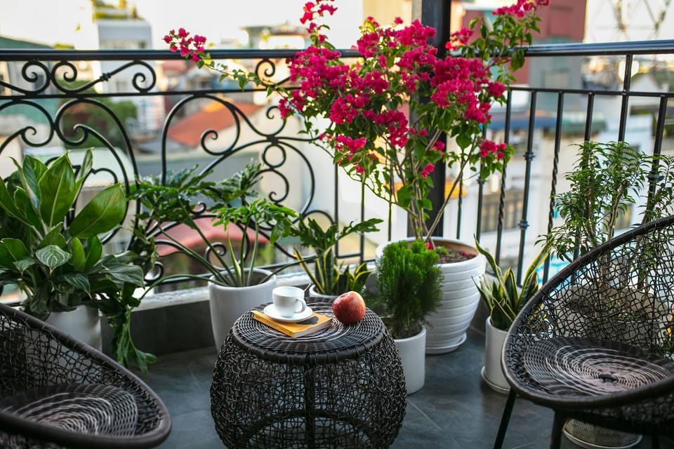 Balcony/Terrace, Seating area
