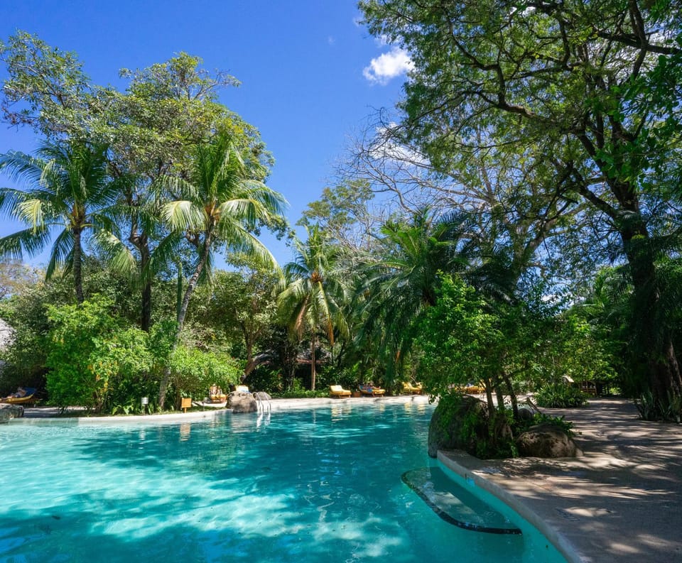Natural landscape, Garden, Pool view, Swimming pool