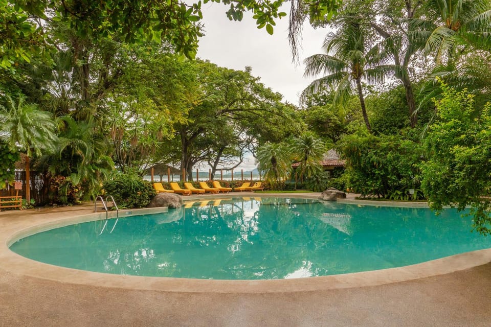 Day, Garden, Swimming pool, Swimming pool, sunbed