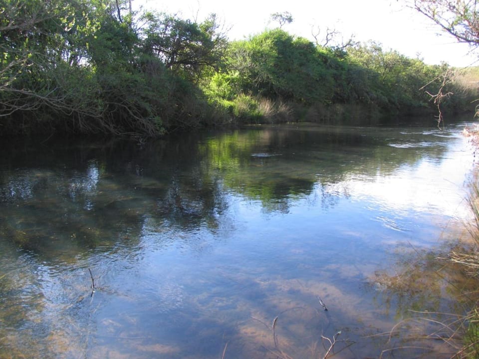 River view