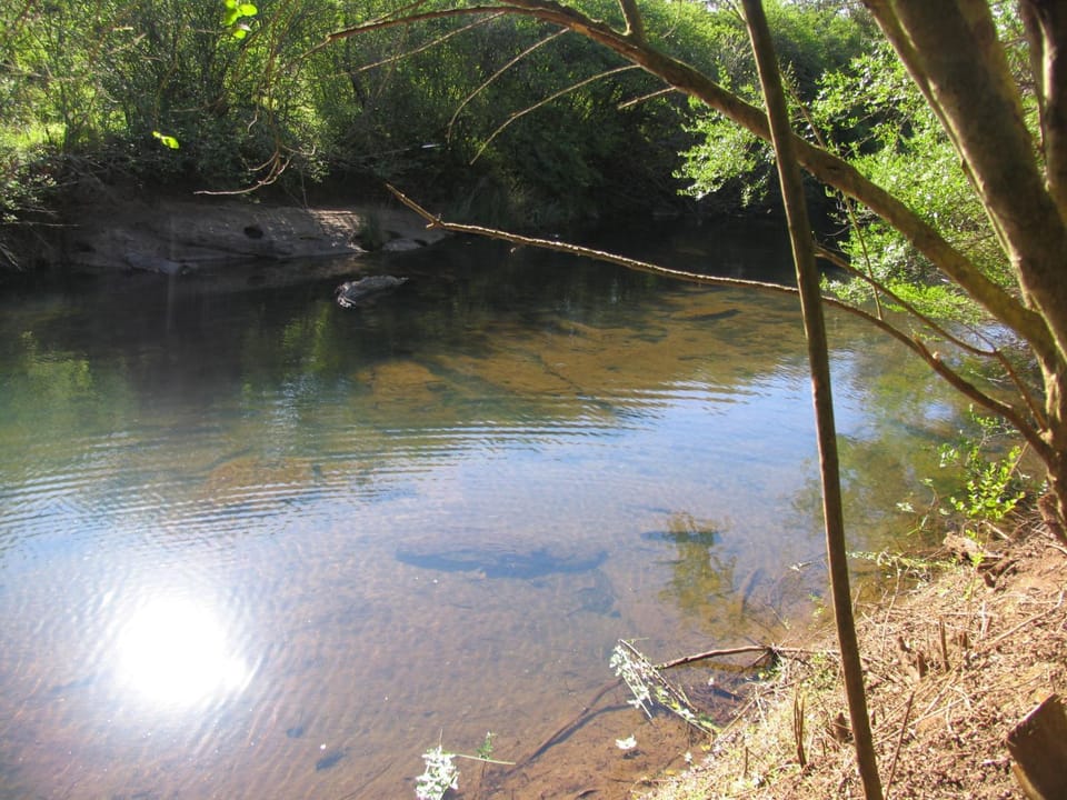 River view