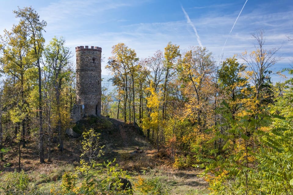 Pokoje Bukowiec Folwark i Park Bed and Breakfast in Lower Silesian Voivodeship