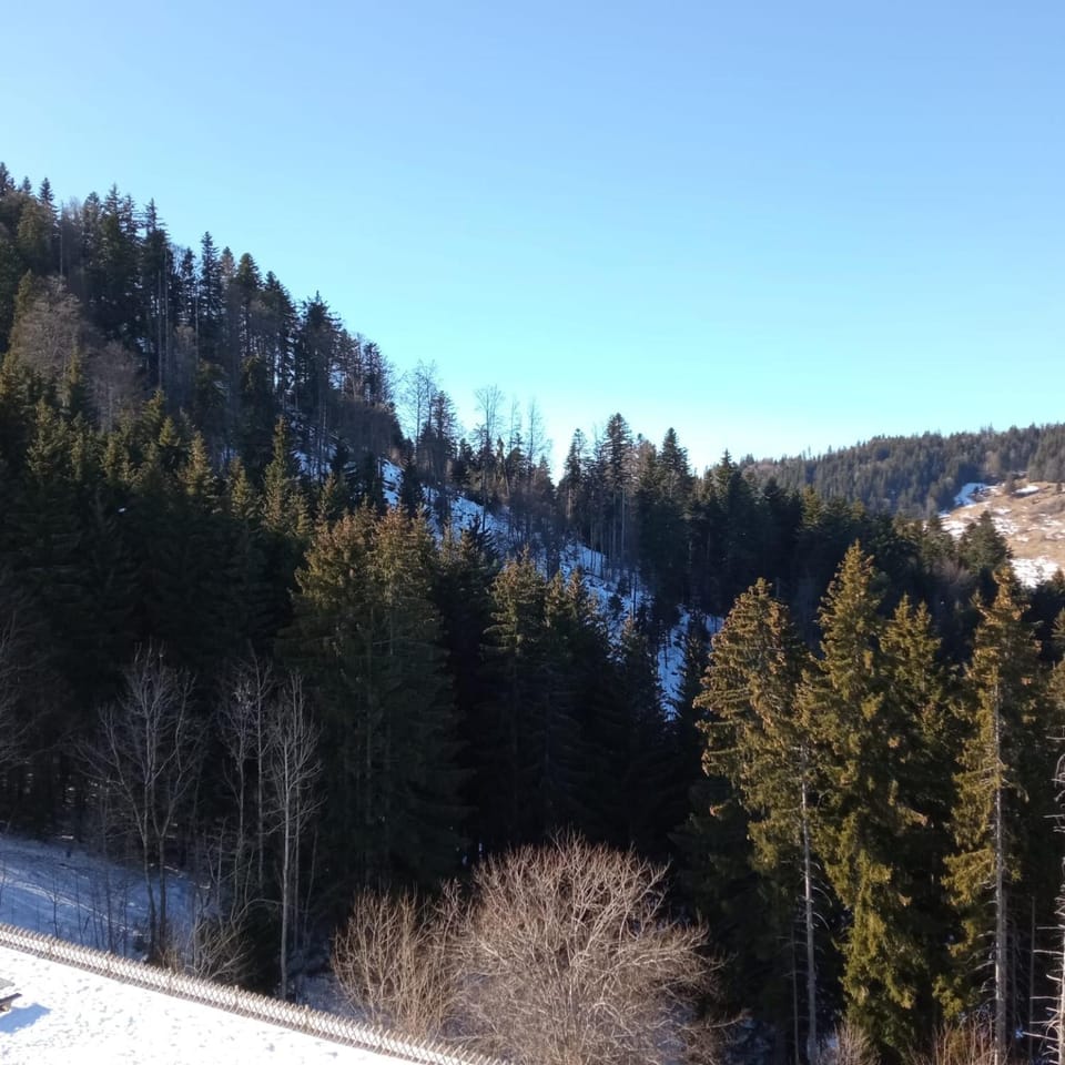 Natural landscape, Winter, Mountain view