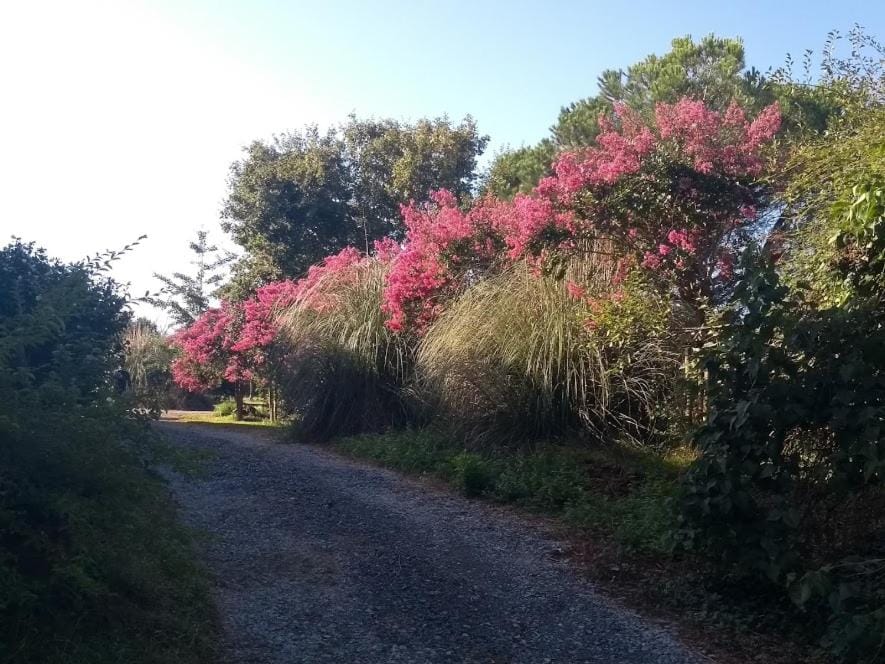 Garden, On site