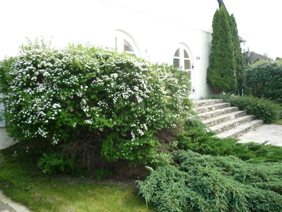 Garden, Garden view