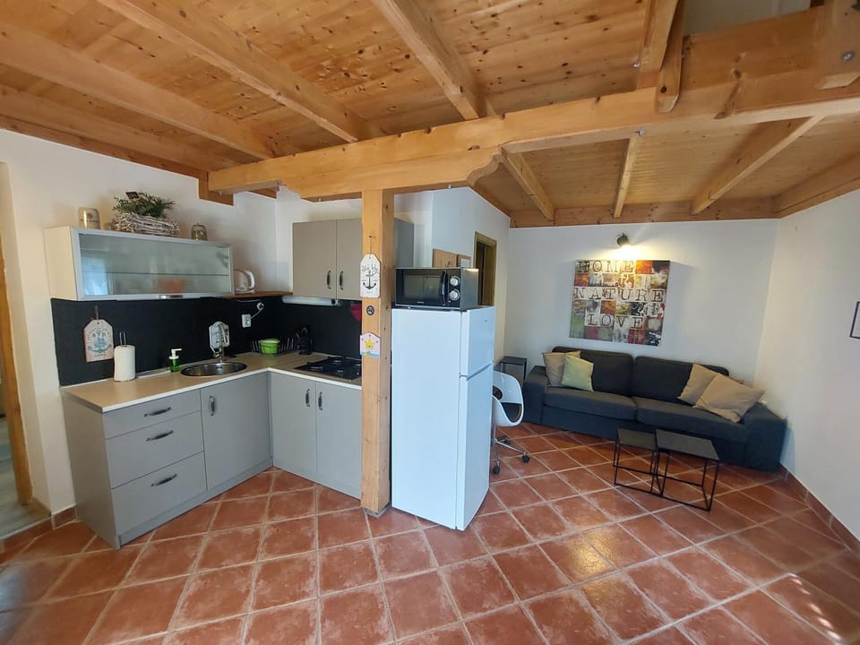 Living room, kitchen