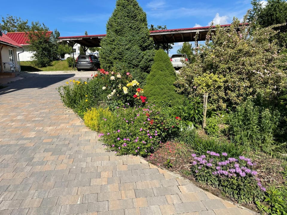 Day, Garden view